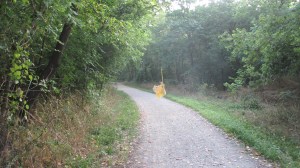 magical leaf floating in thin air