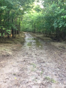 ...really...I just need to stop.