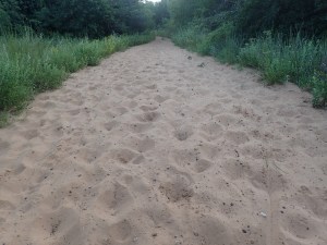 Sand or Dry Quick Sand?