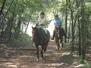Have I mentioned I LOVE the smell of horses? LOVE!