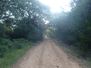 Not a bad way to spend the day