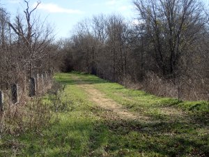 High road along levy to the right of old fence