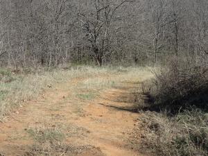 Low road to the left of old fence